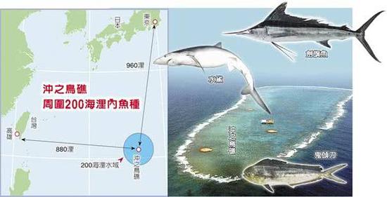冲之鸟礁周围200海里内鱼种(图片来源:台湾《中国时报》)