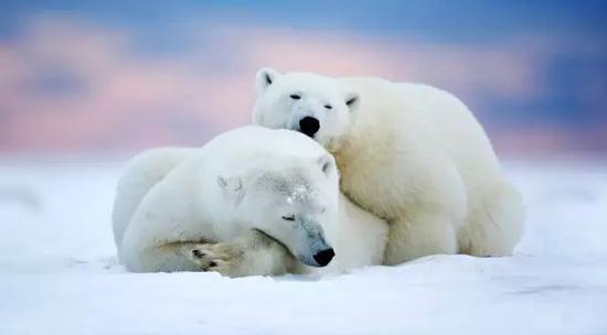 ܣԼ5000ͷصľŲ3000ˡ