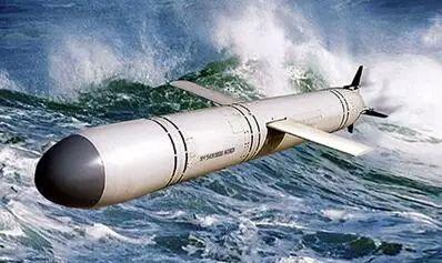 图8.3m-14海基巡航导弹是战胜"伊斯兰国"的象征之一.