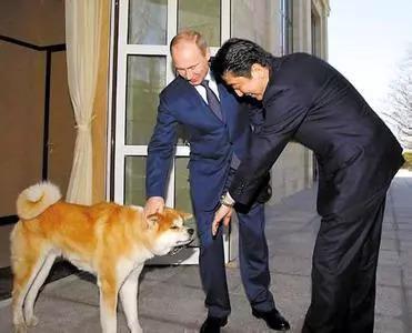 普京“友好”的“逗狗”