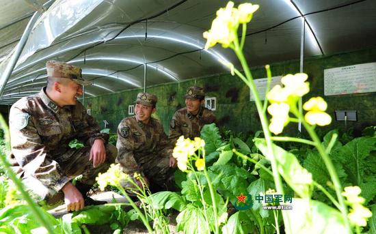 海拔4187米的理塘兵站 是较早建起高原日光温室的单位  图源：中国军网