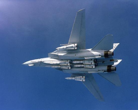 图片:F-14战斗机和“不死鸟”导弹。