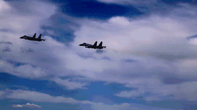 两架战机离开跑道,起飞不到1分钟,袁伟的战机突然遭遇鸟群撞击。