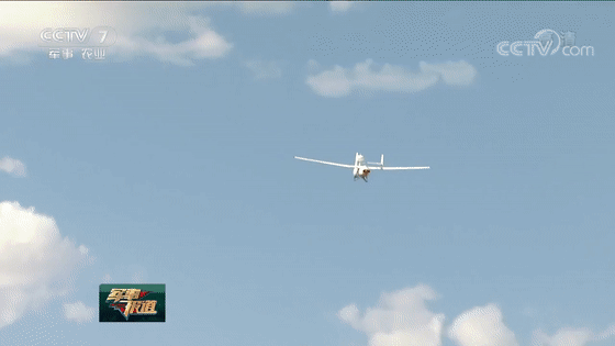 WHnz-hhzsnea9445383.gif