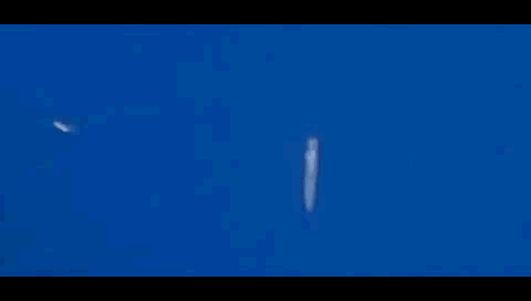 在突破至离航母50公里左右的时候,鹰击12导弹将以6-8马赫的速度继续