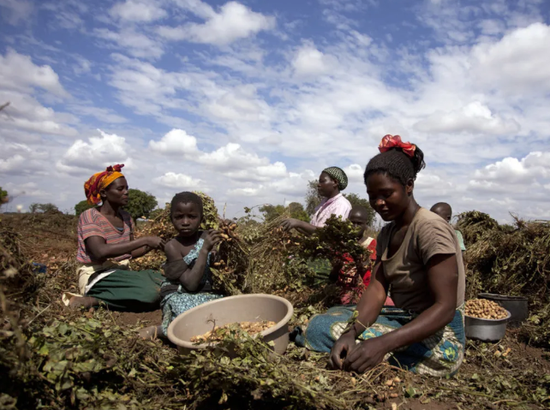 冈比亚gdp_冈比亚地图