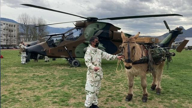 法国山地步兵旅使用骡子运输