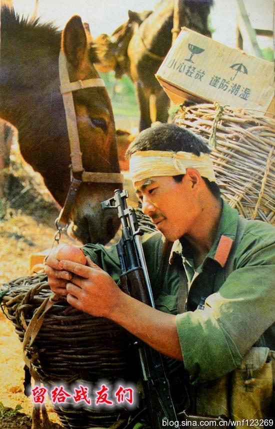 真实再现对越自卫反击战