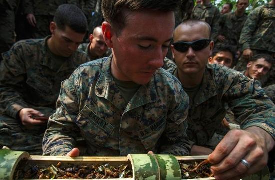  ����ͼ����ɫ�۾������Ͼ��� ʿ������Ұ������ѵ�� 