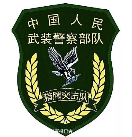 示意图