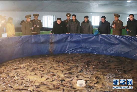 ������12��16���ṩ����Ƭ��ʾ����������쵼�˽�������ǰ�У���ǰ�Ӳ���Ȫ���㳧���������쿴����Ȫ���㳧�����������˽�����������Ӫ������������˽������񡣽�����ָʾ��Ҫ����Ȫ���㳧�������ѳ������ڼ�¶������������ִ����������������أ���ǿ���������ʼ�������������ȪˮԴ�ḻ�Ĺ����ܱ��½�������ˮ�⣬������ˮ��ѭ��ϵͳ��ͬʱҪ�޽��ÿƼ��ռ����غ��Ļ�������ʩ���Ѹó������Ϊ��ѧ������Լ������ҵ��������һ�����㳧��