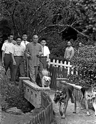 蒋介石在阳明山后山公园遛狗