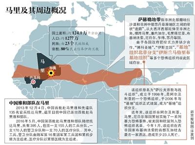 “基地”组织北非分支宣称对此负责；联合国排雷行动处一工作站点也遭袭，造成3人死亡