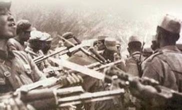 深度:德军一武器让中国受益匪浅 对印作战中完