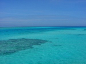 �й���ĸ��ɳ