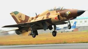 山鹰穿新衣秀特技