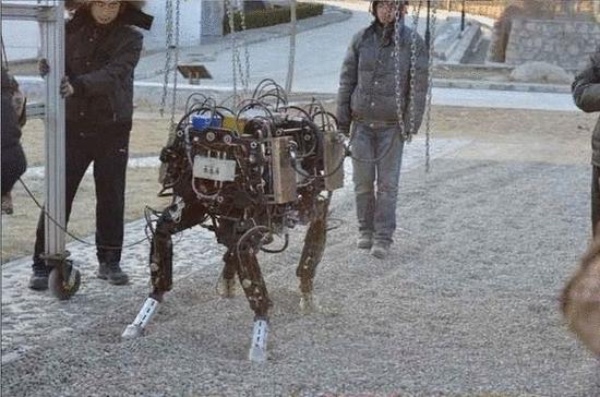 资料图：中国研制的四足智能机器人