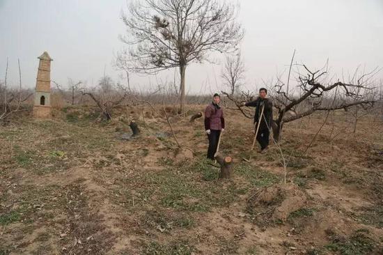 סԺӣֽѾءϻٵĵطһڣдǰݣ˳ Ӱ