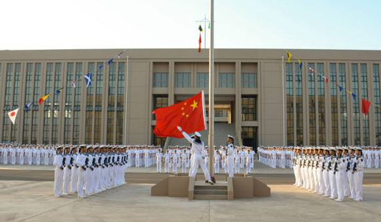 am8.com手机客户端 美国科学家成功“复活”死猪脑袋,引发定义死亡的伦理争议!
