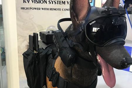法国军犬装备可遥控护目镜