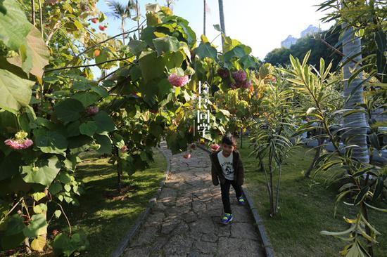 溪岸路:溪岸路其实就是厦门的花鸟虫鱼市场,喜欢花的二个人怎么错过……