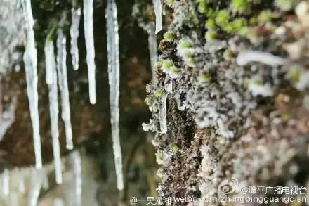 这是漳平摄影爱好者今天在龙岩红尖山上拍的美景!