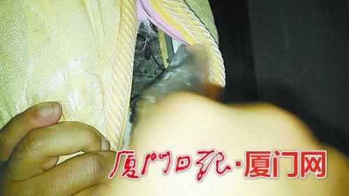 民警找到藏在床垫里的冰毒。