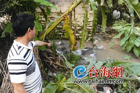 ▲发现砺石的小溪