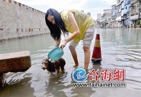 ▲趁机给狗狗洗个“海水澡”
