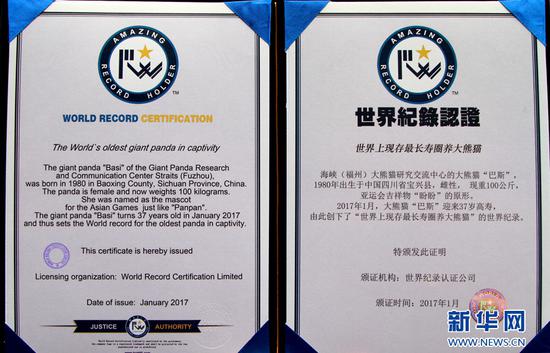 福建37岁大熊猫巴斯庆生 创全球长寿记录