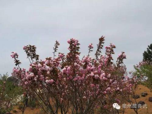 ­　　5、洛江田格里拉生态园