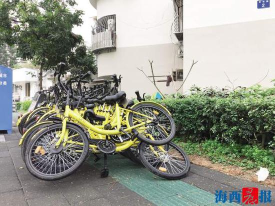 官任路上,一排单车摆起了“叠罗汉”阵形。