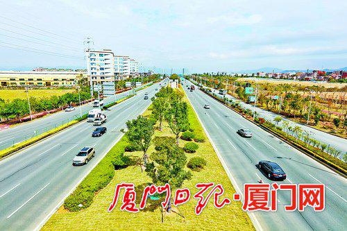 翔安大道绿化重建提升沿用了具有滨海特色的疏林草地景观设计。(本报记者 王协云 摄)