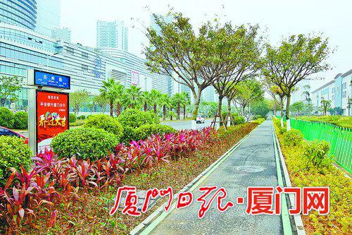 绿化提升改造后的吕岭路环岛干道至环岛路段。(本报记者 王协云 摄)