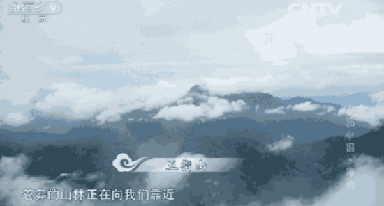 云雾缭绕的五指山，藏匿着高山之巅，上古神兽的踪迹。