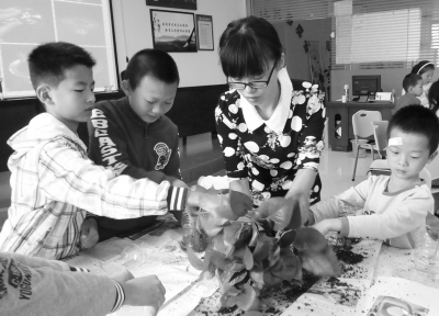 滨水社区书院组织的“辛勤的小园丁”绿萝种植课。