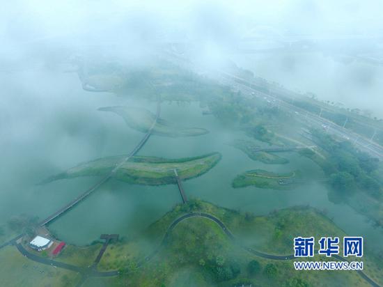 烟雨朦胧中的福建省漳州市碧湖生态园（3月17日摄）。新华社记者姜克红摄