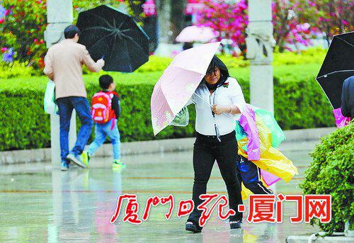 昨天下雨时,风也较大。(本报记者 张奇辉 摄)