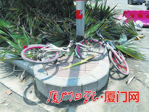 共享单车乱停乱扔现象仍较多。