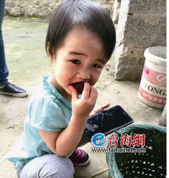 ▲好吃的杨梅停不下来