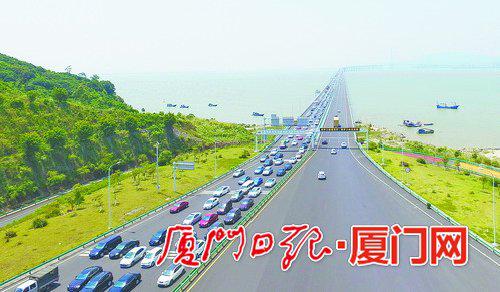 ▲厦漳大桥上开往漳州港方向的车辆暴增,多数是冲着摘杨梅去的。