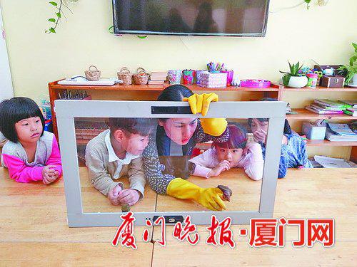 -幼儿园的小朋友观察蜗牛爬过玻璃和刀锋。韩扬供图