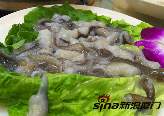 一家专注活海鲜的餐厅 感受活章鱼在舌尖颤抖