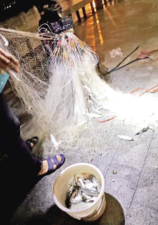 因为被水中渔网缠住,一只白鹭挣扎着死去了。