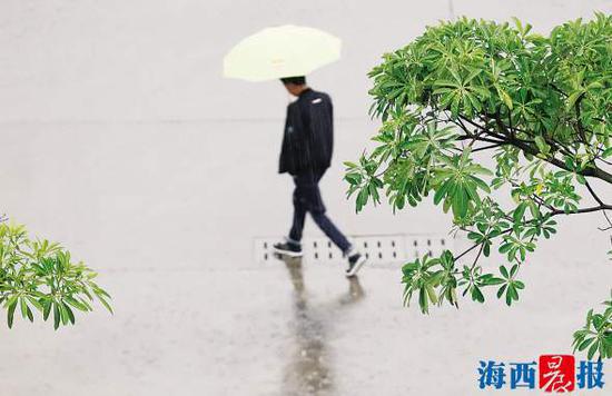 昨日下午,一场大雨让市民猝不及防。记者陈理杰摄