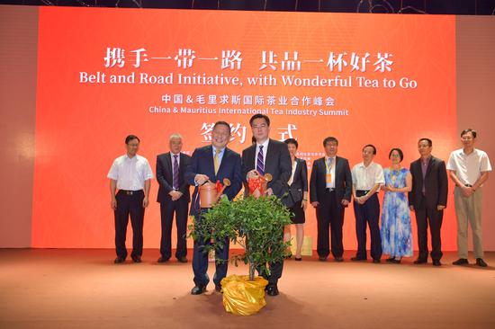 共同浇灌友谊茶树。