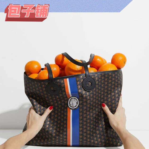 Moynat Tote手袋