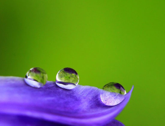 碰到让自己起烦恼的人怎么办