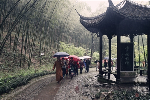 法师带领居士善信前往祭扫