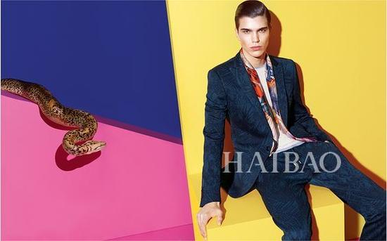  (Etro) 2016ϵ